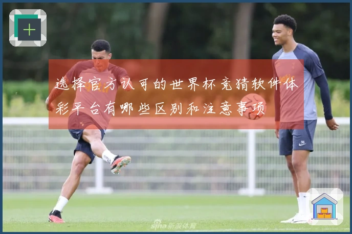 选择官方认可的世界杯竞猜软件体彩平台有哪些区别和注意事项