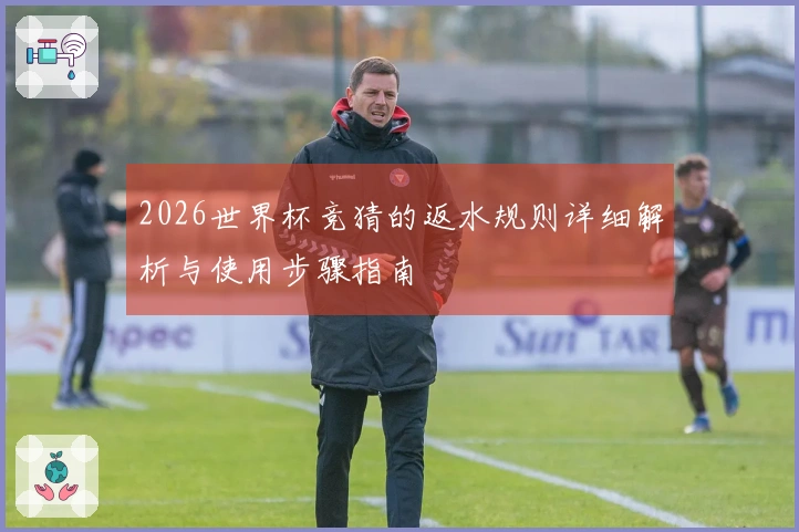 2026世界杯竞猜的返水规则详细解析与使用步骤指南