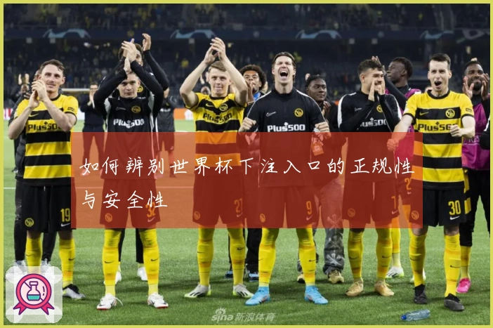 如何辨别世界杯下注入口的正规性与安全性