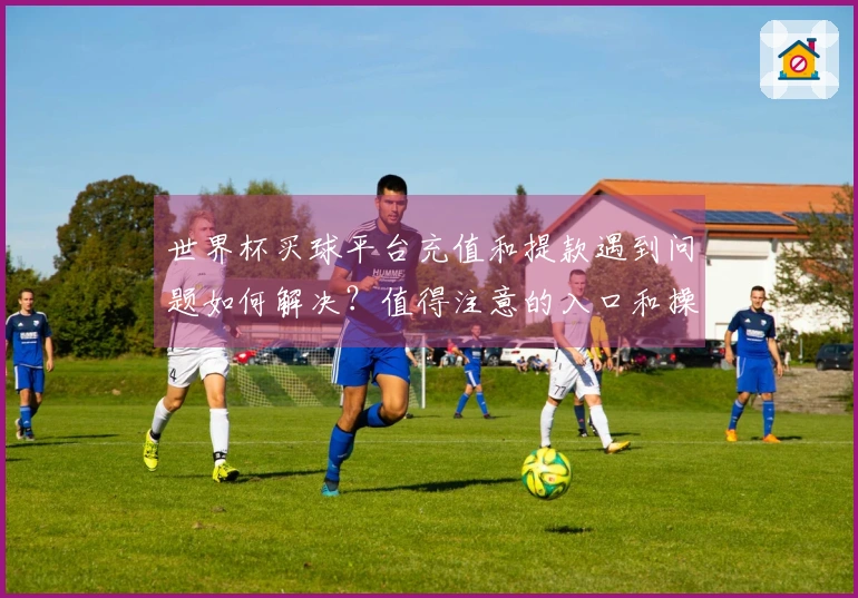 世界杯买球平台充值和提款遇到问题如何解决？值得注意的入口和操作流程