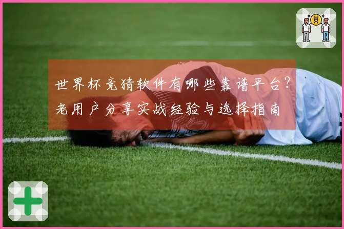世界杯竞猜软件有哪些靠谱平台？老用户分享实战经验与选择指南