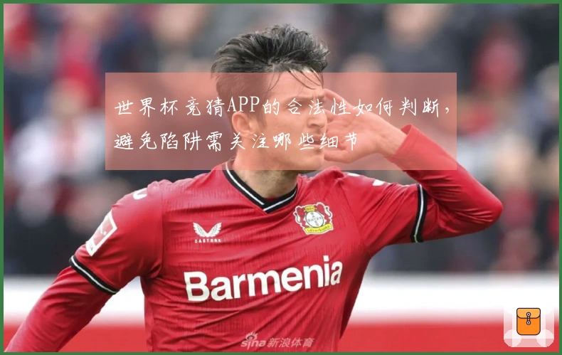世界杯竞猜APP的合法性如何判断，避免陷阱需关注哪些细节