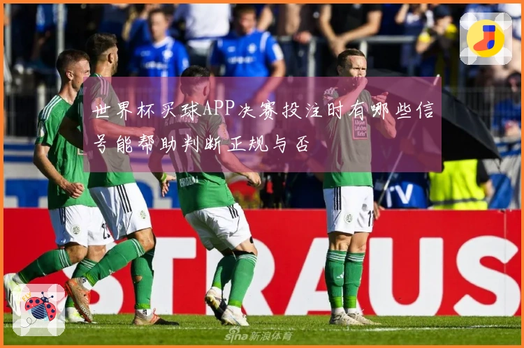 世界杯买球APP决赛投注时有哪些信号能帮助判断正规与否