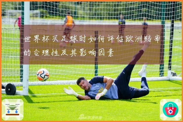 世界杯买足球时如何评估欧洲赔率的合理性及其影响因素