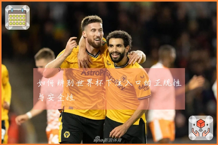 如何辨别世界杯下注入口的正规性与安全性