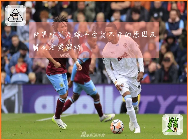 世界杯买足球平台打不开的原因及解决方案解析