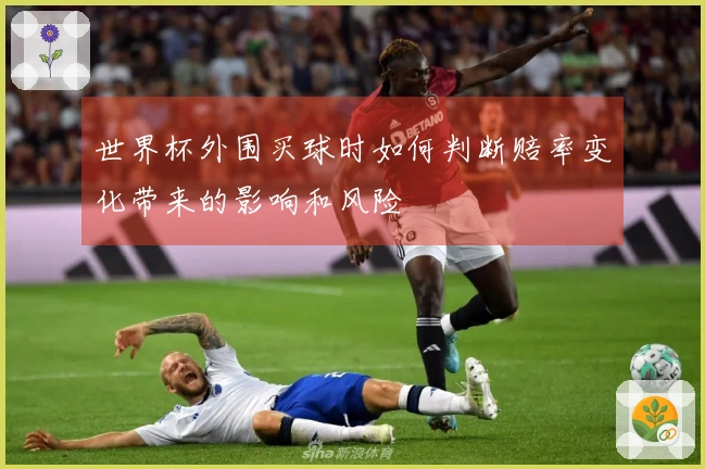世界杯外围买球时如何判断赔率变化带来的影响和风险