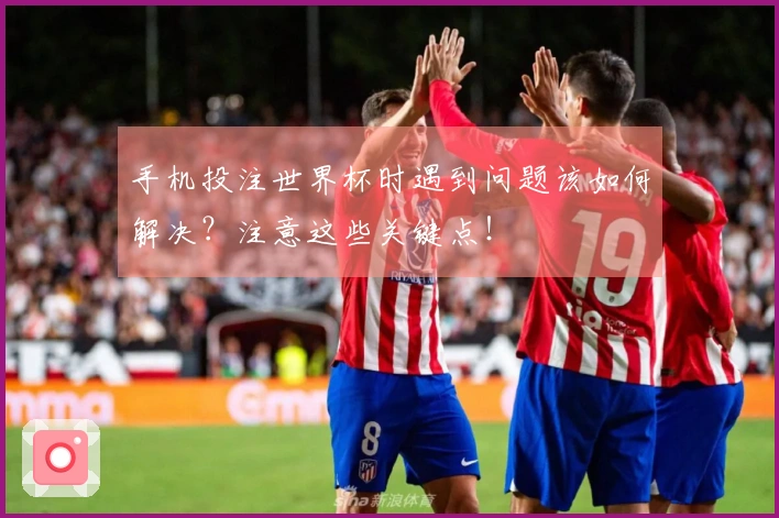 手机投注世界杯时遇到问题该如何解决？注意这些关键点！