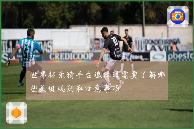 世界杯竞猜平台选择时需要了解哪些关键规则和注意事项