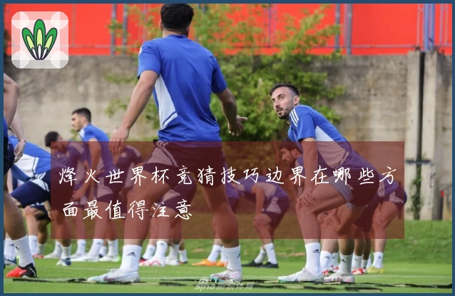 烽火世界杯竞猜技巧边界在哪些方面最值得注意