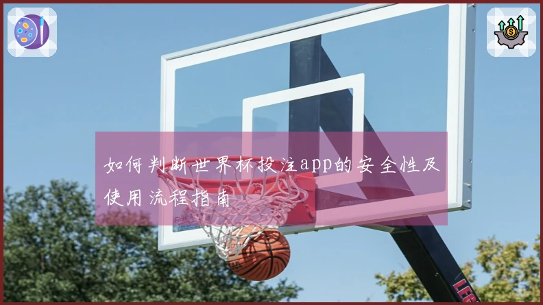 如何判断世界杯投注app的安全性及使用流程指南