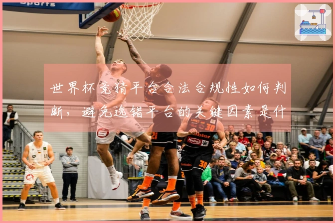 世界杯竞猜平台合法合规性如何判断，避免选错平台的关键因素是什么