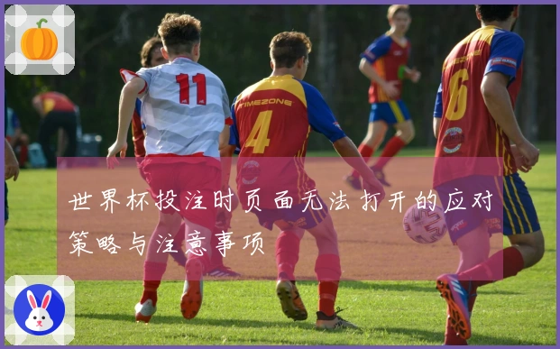 世界杯投注时页面无法打开的应对策略与注意事项