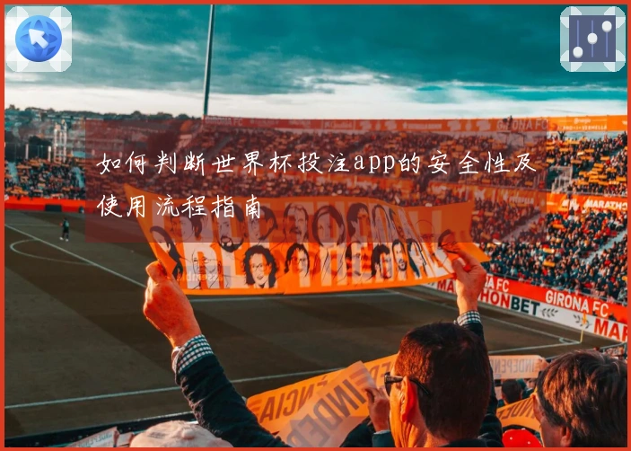 如何判断世界杯投注app的安全性及使用流程指南