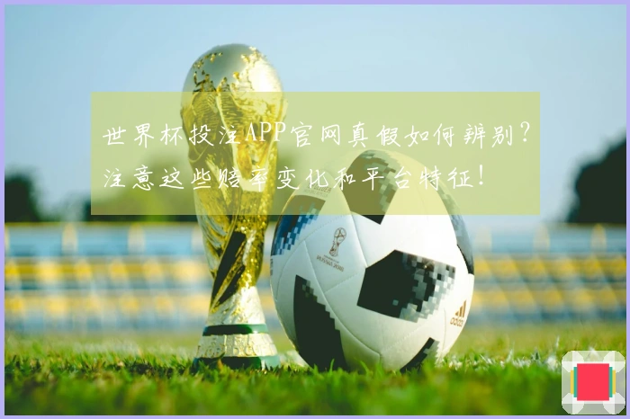 世界杯投注APP官网真假如何辨别？注意这些赔率变化和平台特征！