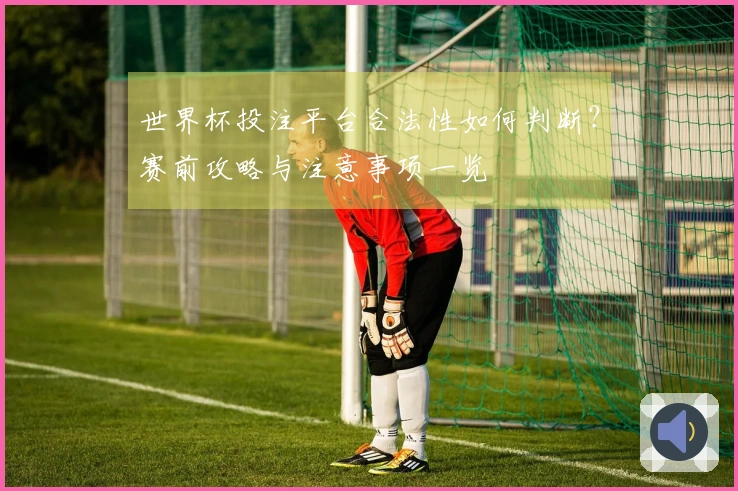 世界杯投注平台合法性如何判断？赛前攻略与注意事项一览