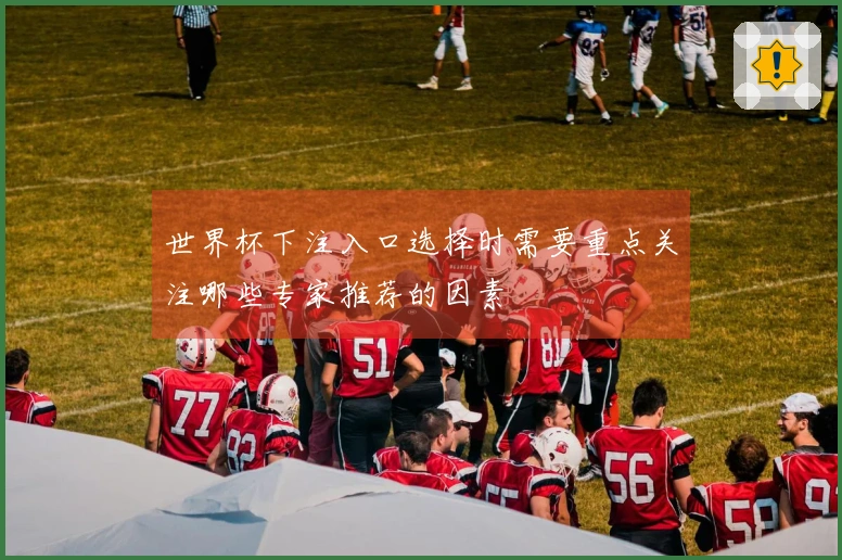 世界杯下注入口选择时需要重点关注哪些专家推荐的因素
