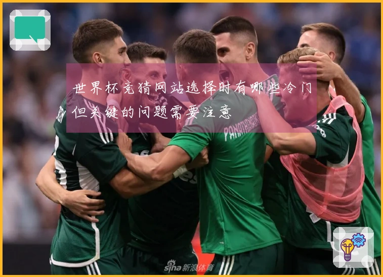 世界杯竞猜网站选择时有哪些冷门但关键的问题需要注意