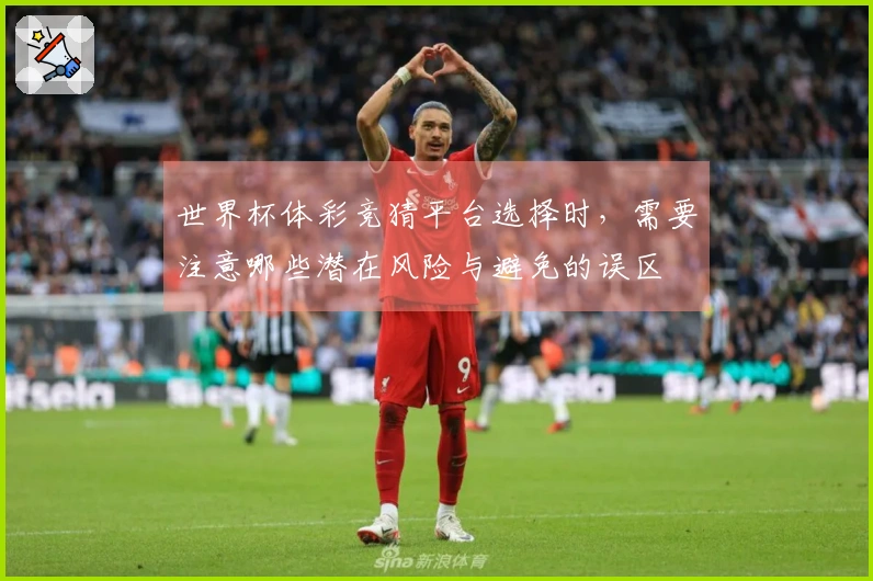 世界杯体彩竞猜平台选择时，需要注意哪些潜在风险与避免的误区