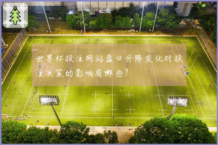 世界杯投注网站盘口升降变化对投注决策的影响有哪些？