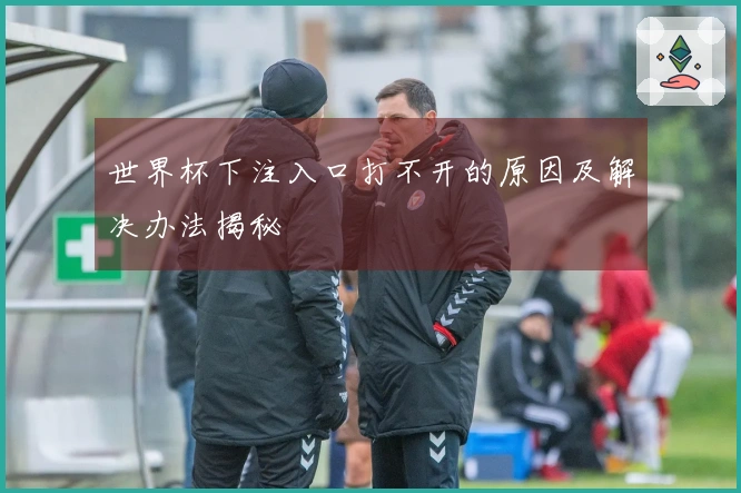 世界杯下注入口打不开的原因及解决办法揭秘