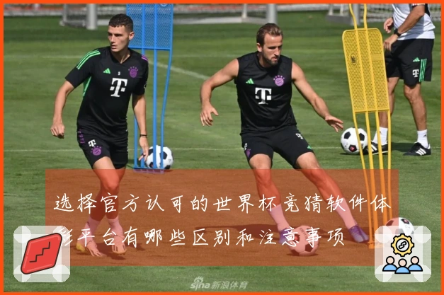 选择官方认可的世界杯竞猜软件体彩平台有哪些区别和注意事项