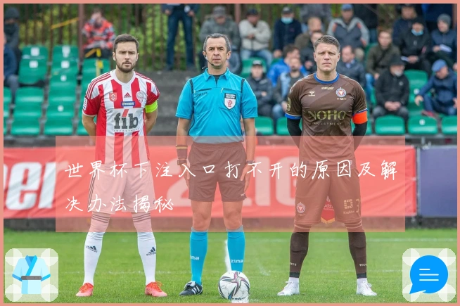 世界杯下注入口打不开的原因及解决办法揭秘